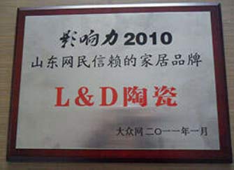 影响力2010