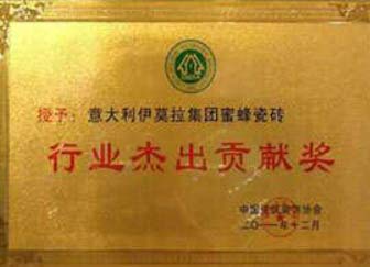 行业杰出贡献奖